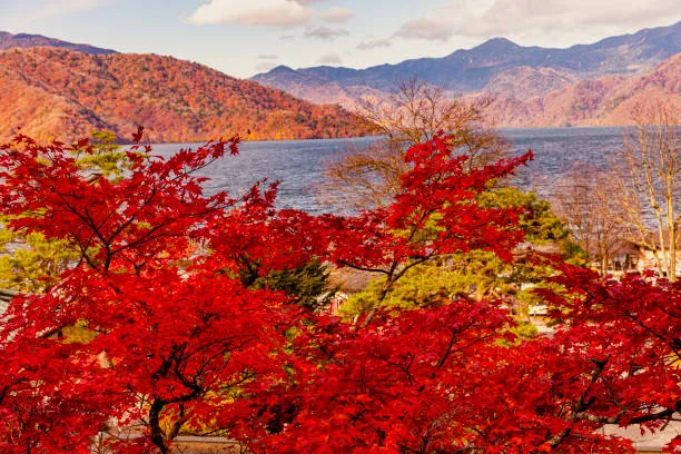 musim gugur di jepang