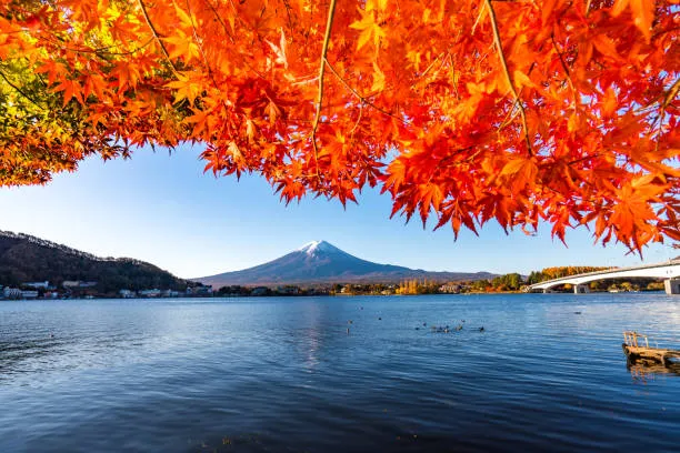 musim gugur di jepang