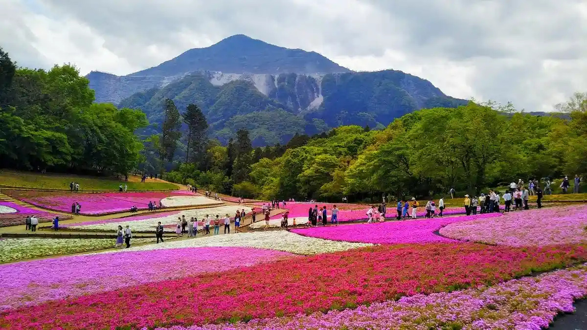 musim gugur di jepang