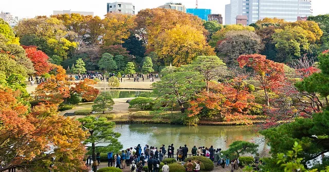 musim gugur di jepang